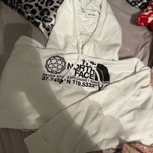 Cropped hoodie from north face